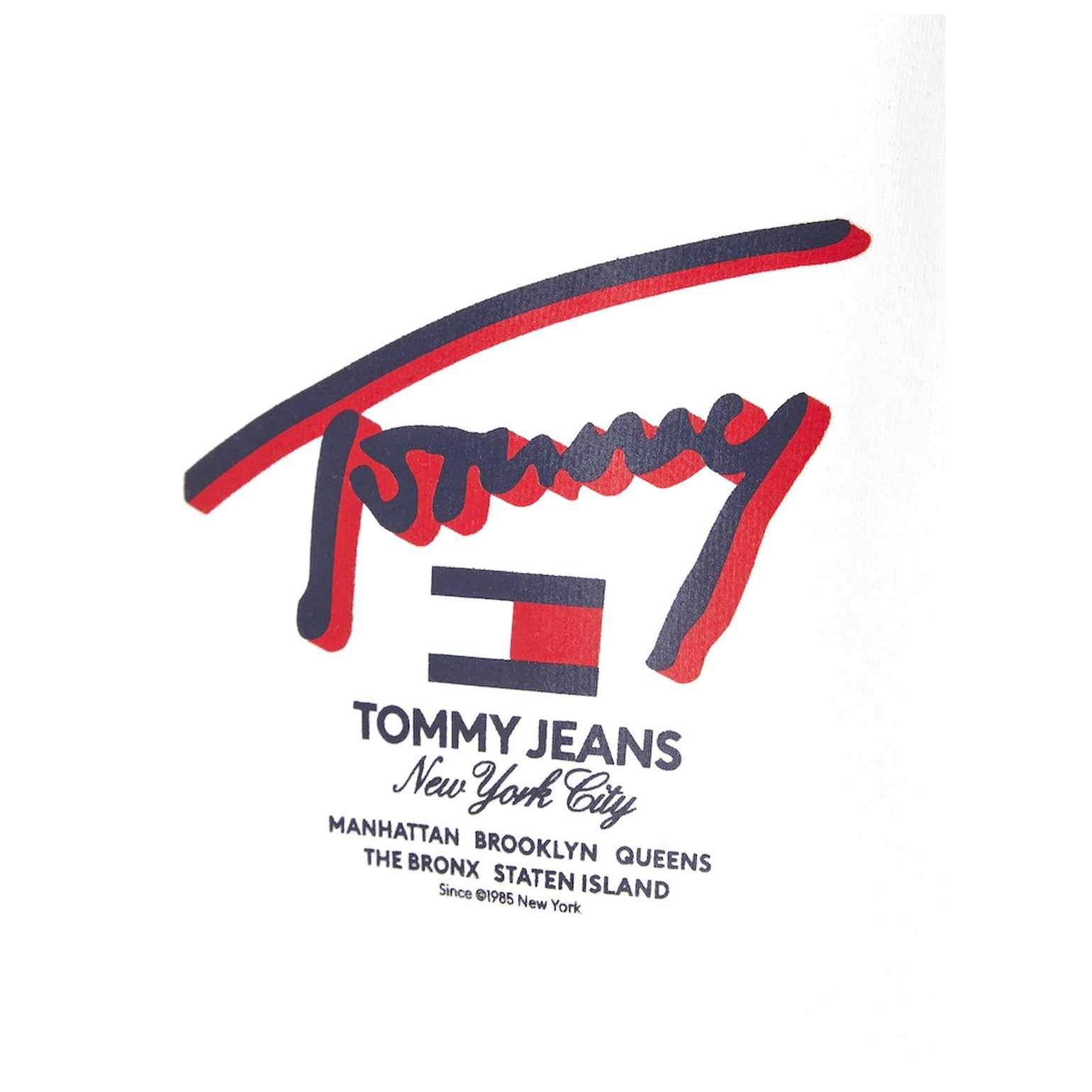 Tommy Jeans TJM REG 3D STREET TJ HOOD EXT