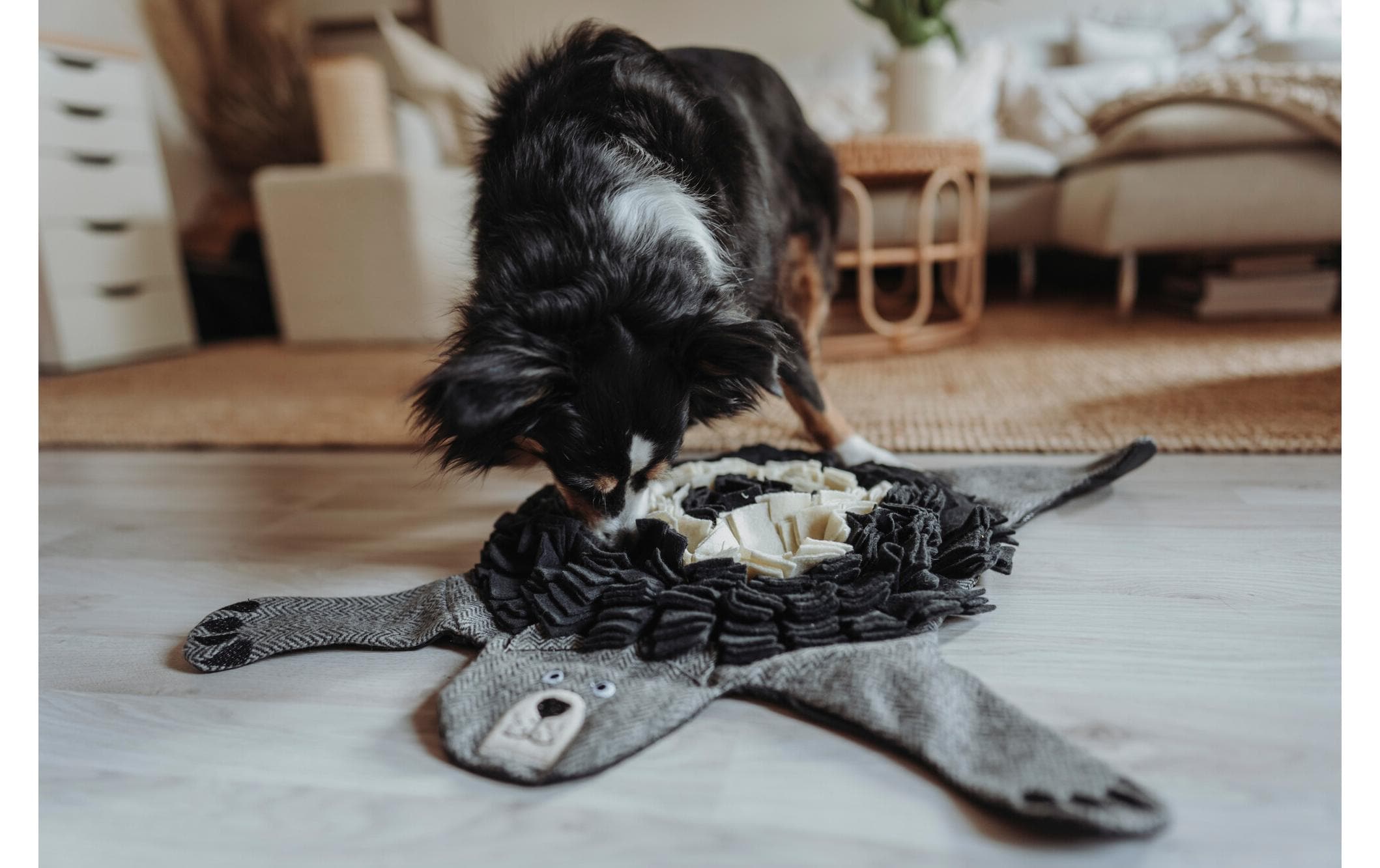 Hunde-Spielzeug Billund Bär Schnüffelteppich, 75 x 75 cmHundespielzeug
