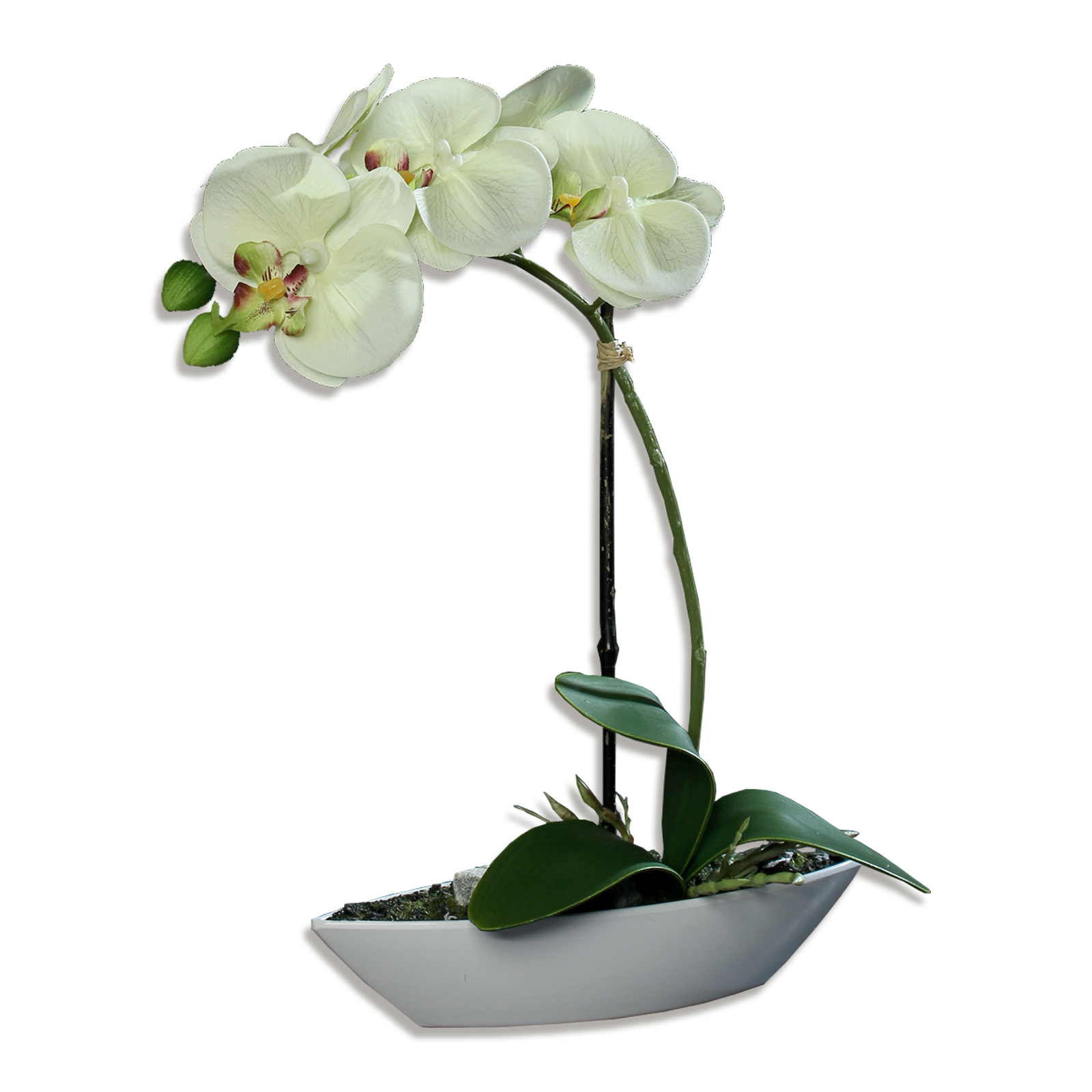Orchidee-Phalaenopis - creme - Kunstpflanze