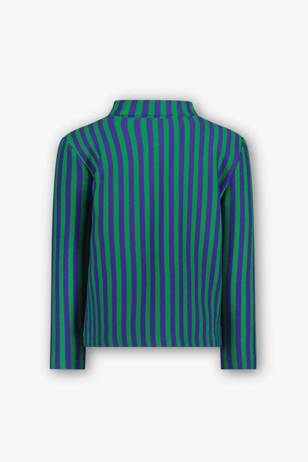 The New Chapter gestreepte longsleeve groen/paars
