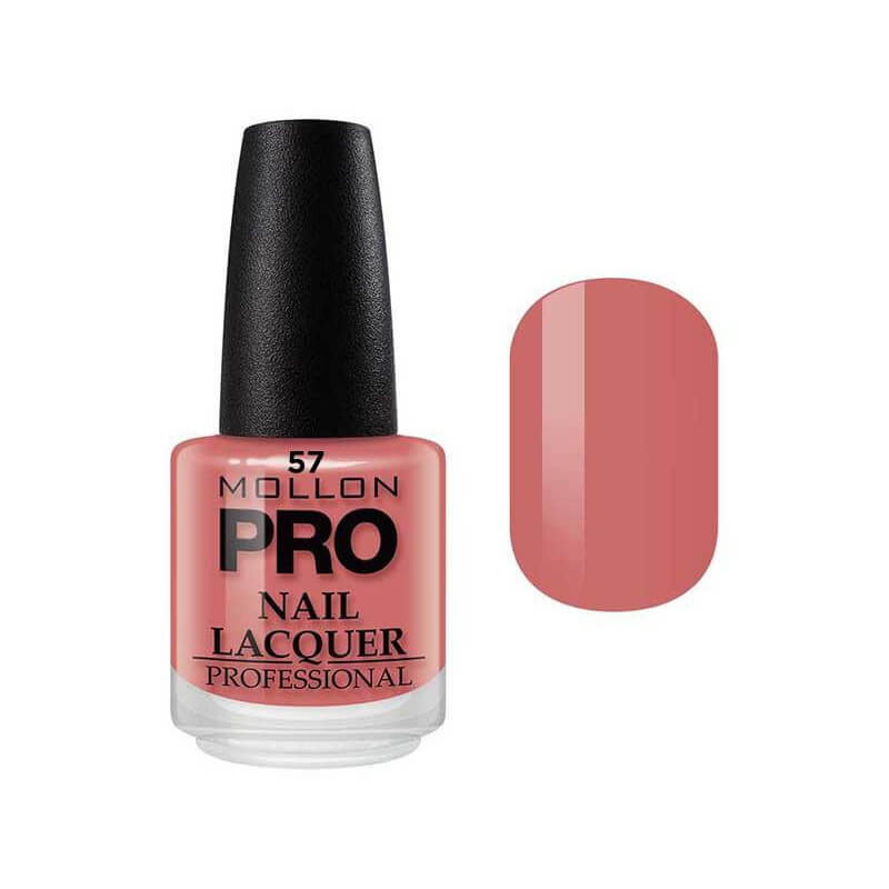 Vernis Classique 15 ml Mollon Pro