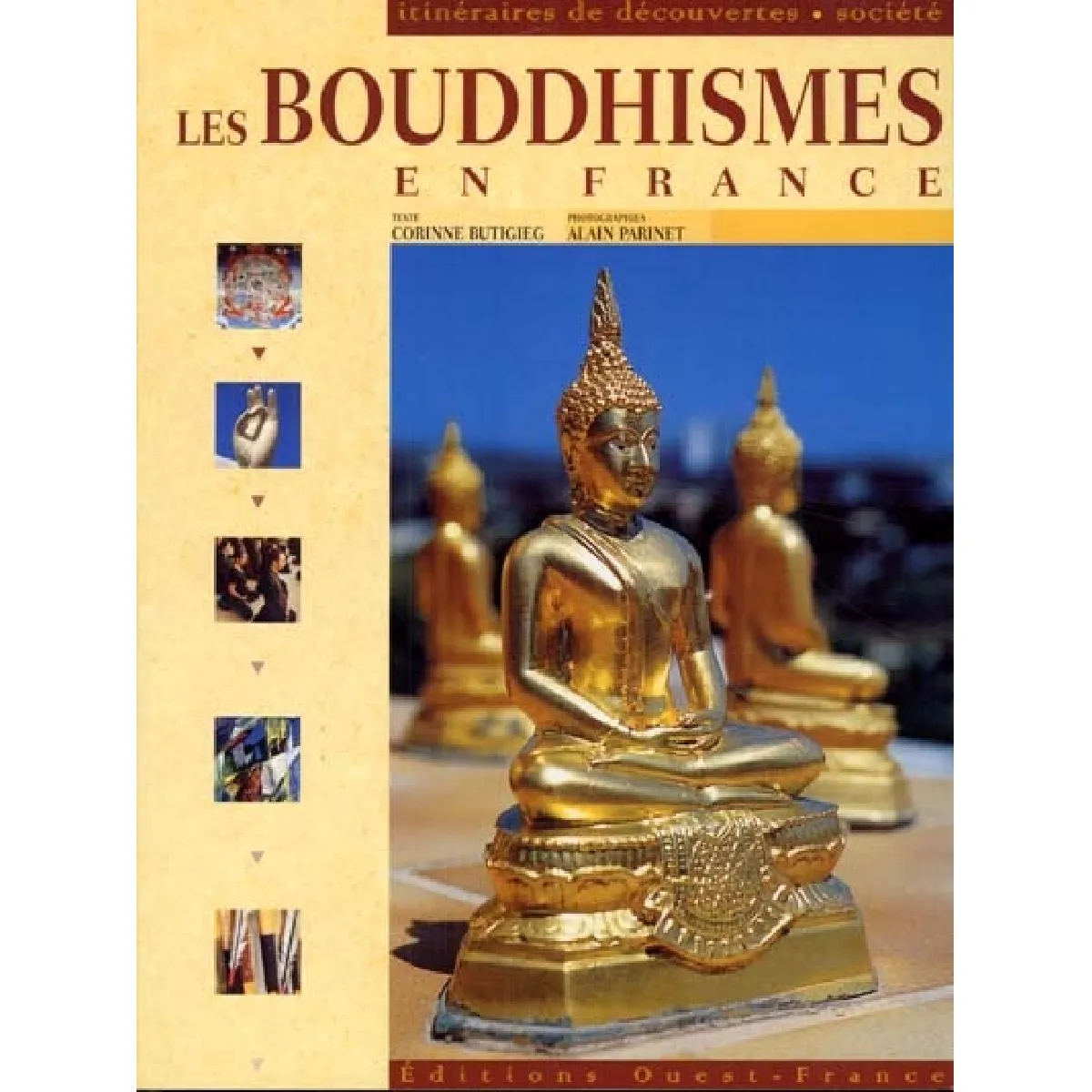 Les bouddhismes en France · Occasion