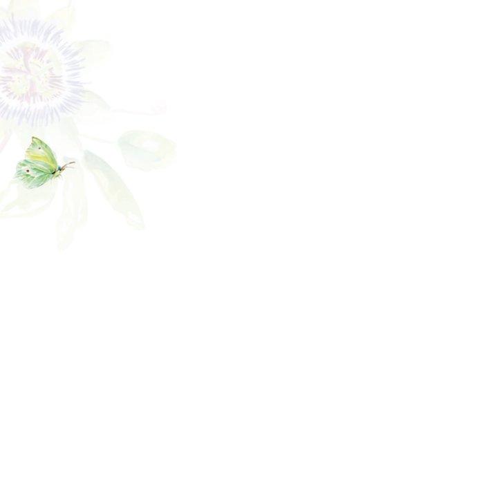 Michelle Dujardin | Beterschapskaart | Bloemen