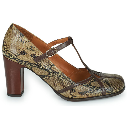 Chie Mihara - FATMA - Python / Marron