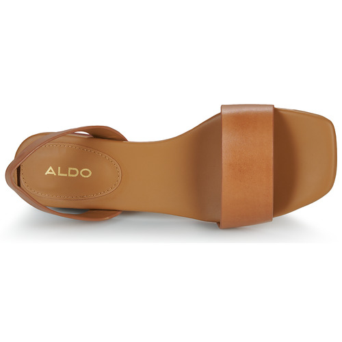 Aldo - DORENNA - Camel