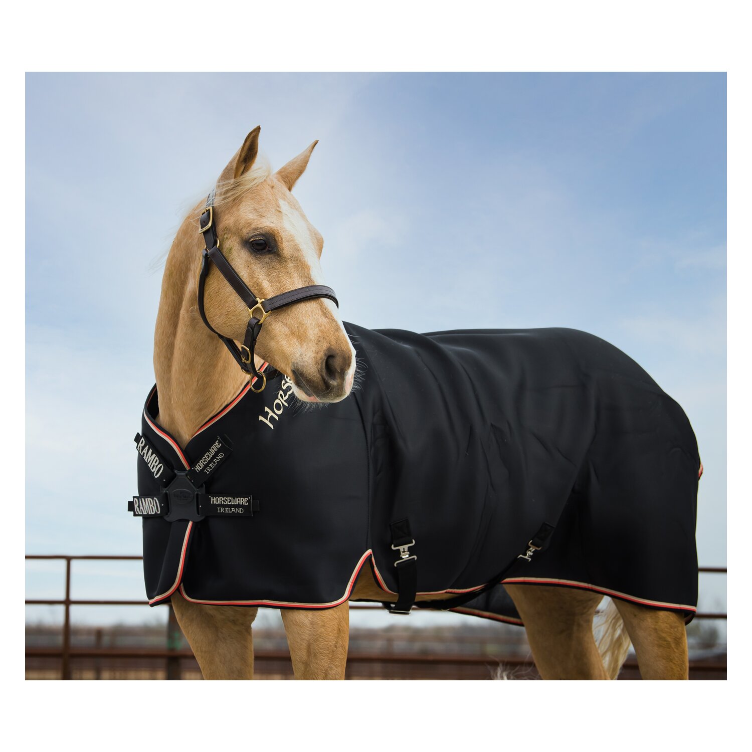 HORSEWARE Abschwitzdecke Rambo Airmax Cooler Disc - black
