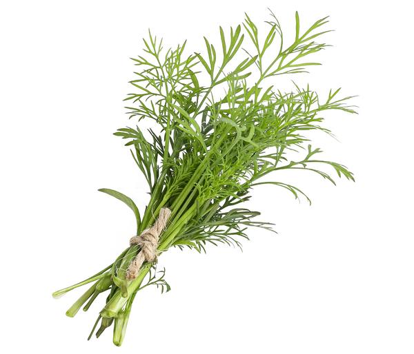 Dill