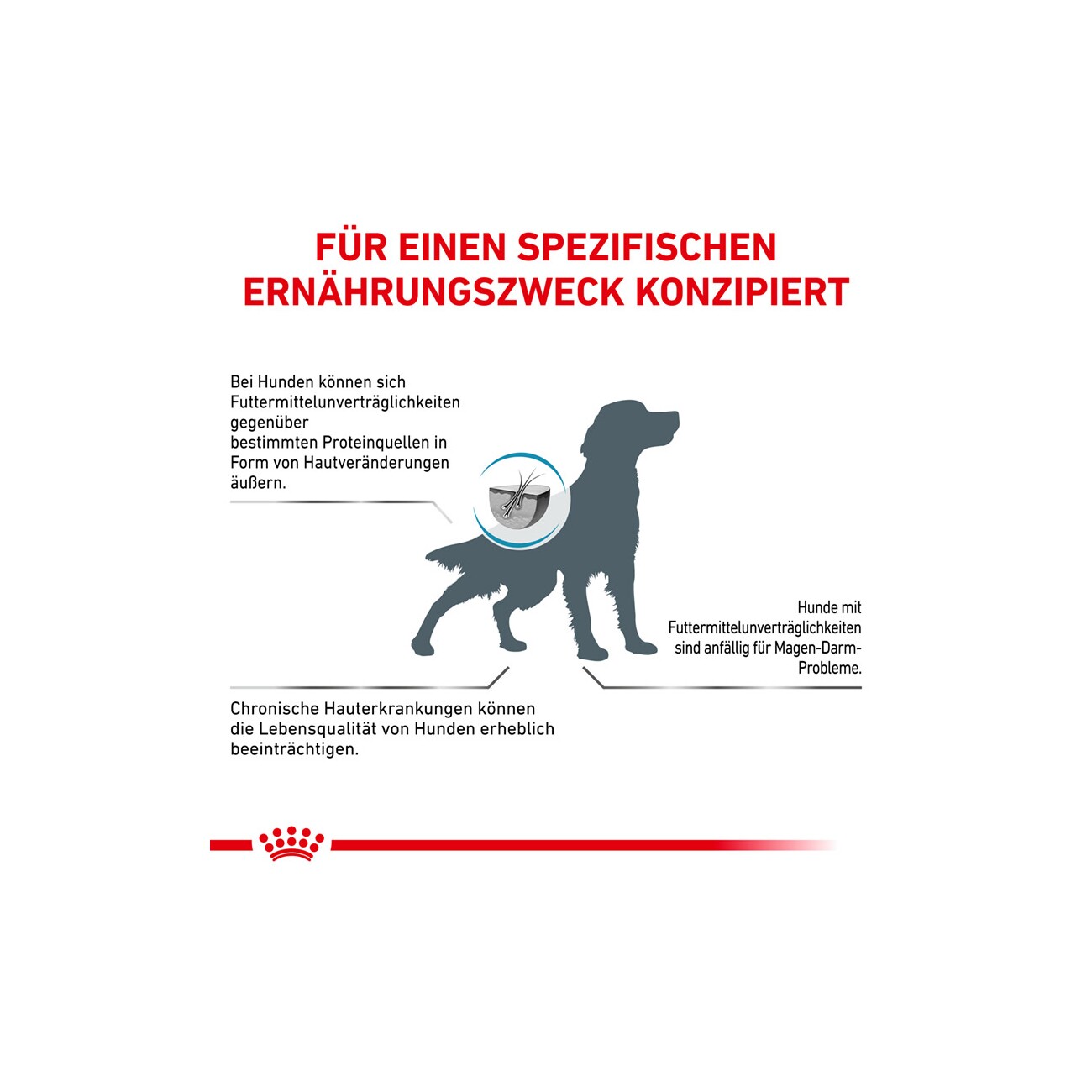 ROYAL CANIN Veterinary Anallergenic 8 kg