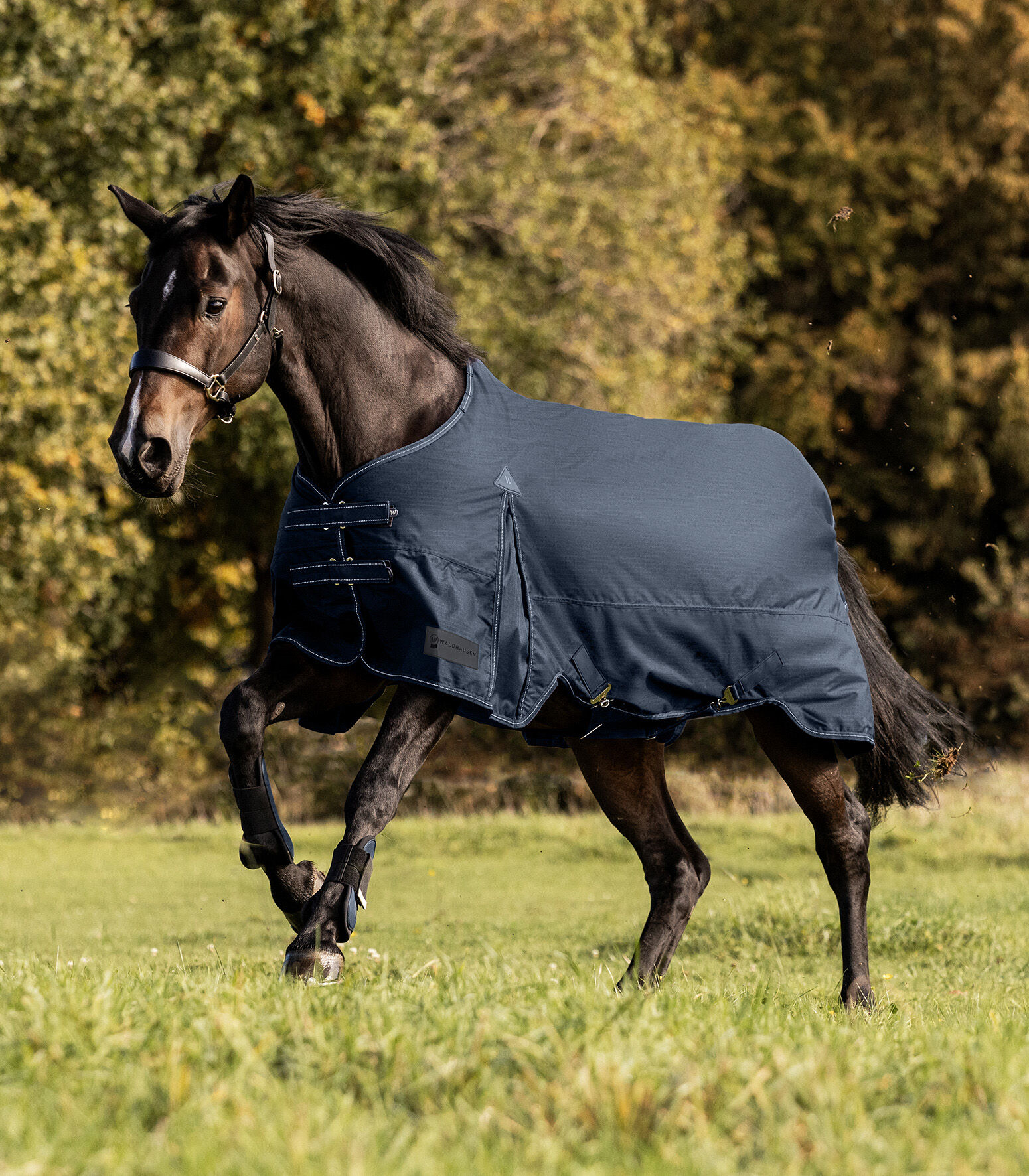 Waldhausen Arctic 50 gr - Winterdeken - Paardendeken - Blauw - 145/195