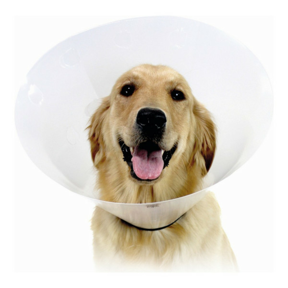 Collier de protection isabelino pour chiens check transparent (34-43 cm)