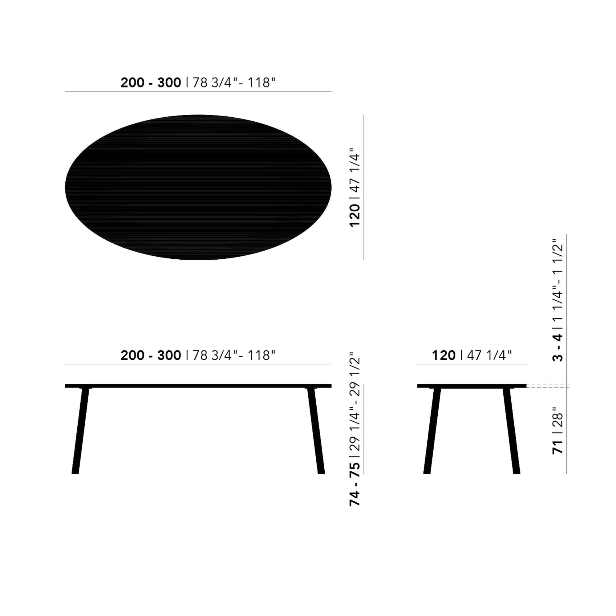 Studio HENK tafel Butterfly Ovaal - zwart frame, gerookte beits 300 x 120 | Gerookte Beits | Rechte Rand | Frame Zwart