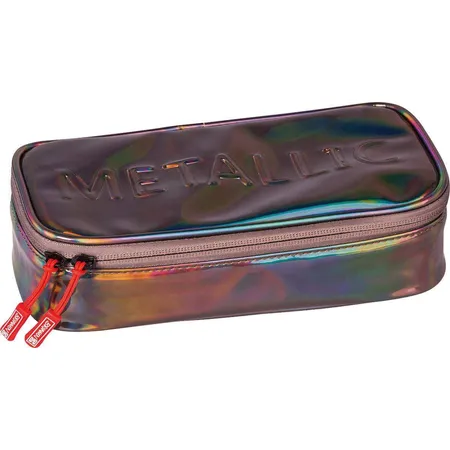 BRUNNEN Combi-Etui Electric metallic