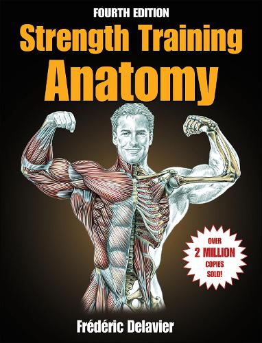 Strength Training Anatomy (Paperback)