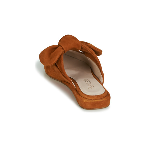 Fericelli - JILONIE - Camel