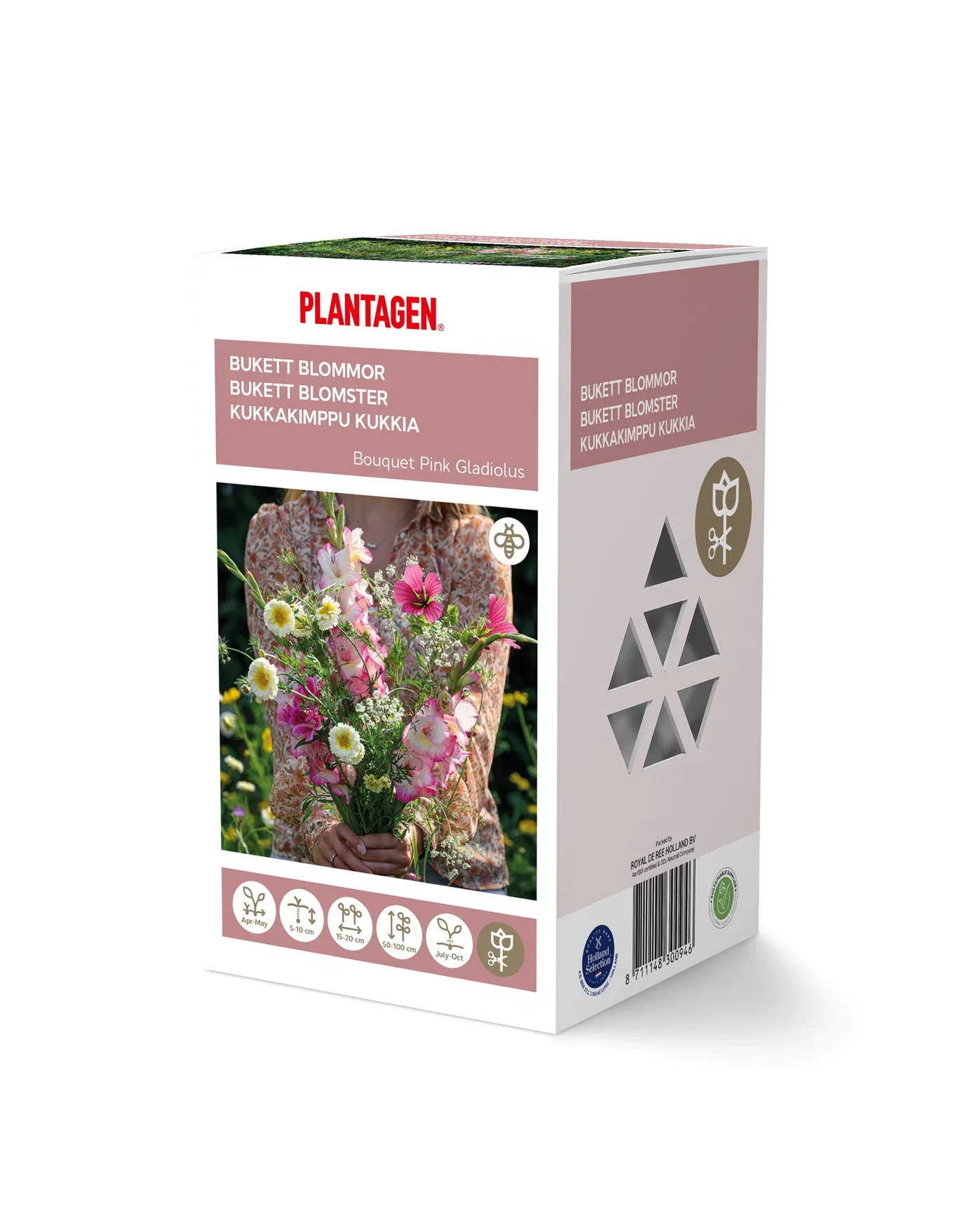 Plantagen Bukettmiks gladiol rosa