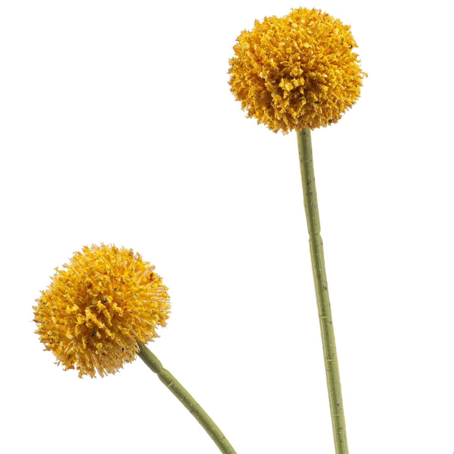 Fleurdirect Kunstbloem Craspedia - Geel|Oker -  - 0x69x0cm (BxHxD)