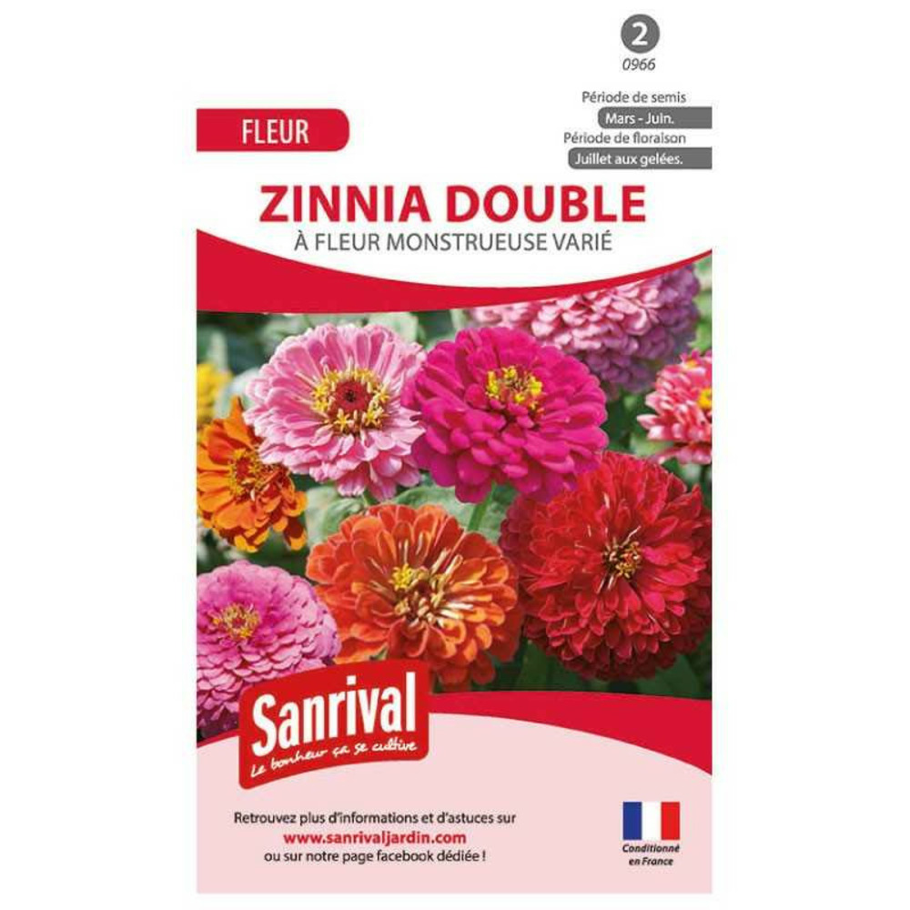 Graines de zinnia double varié