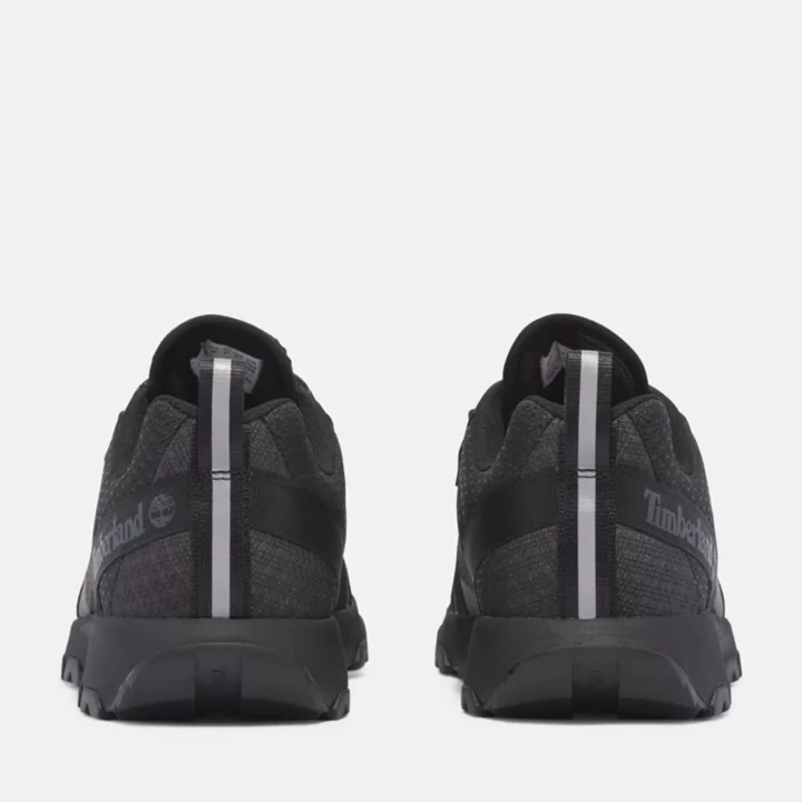 Basket basse à lacets Winsor Trail pour homme en noir