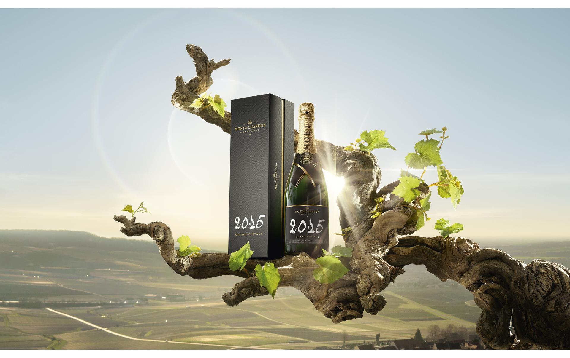 Grand Vintage 2015 0.75 lPrickelnder Schaumwein aus Frankreich