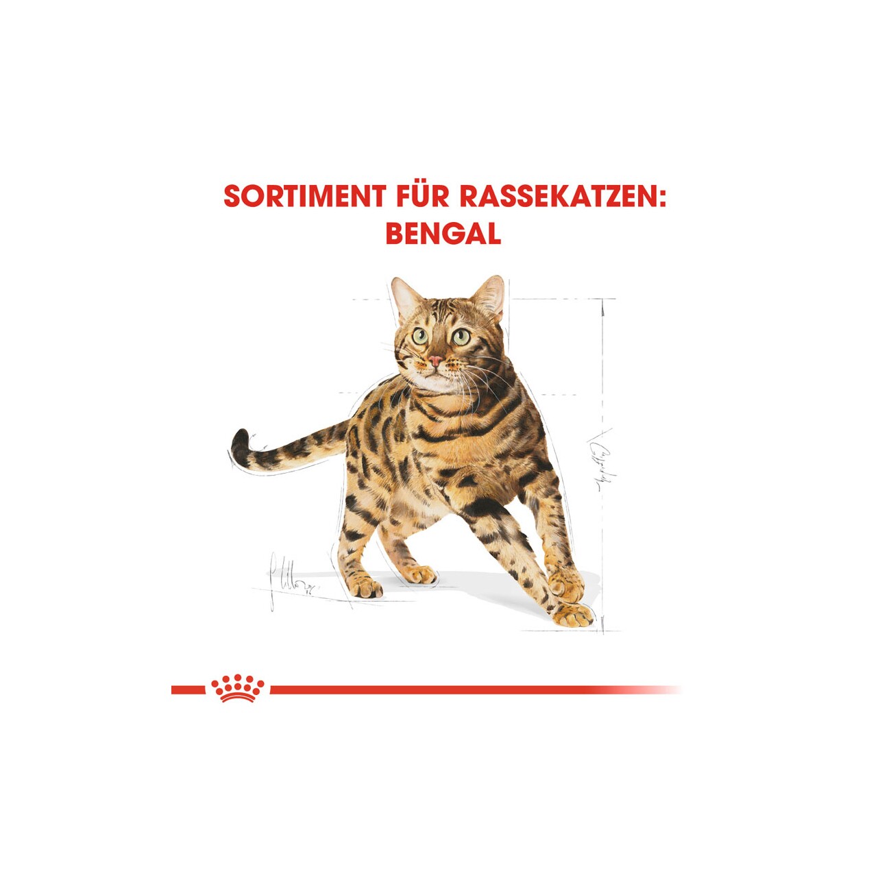 ROYAL CANIN Bengal Adult 10 kg