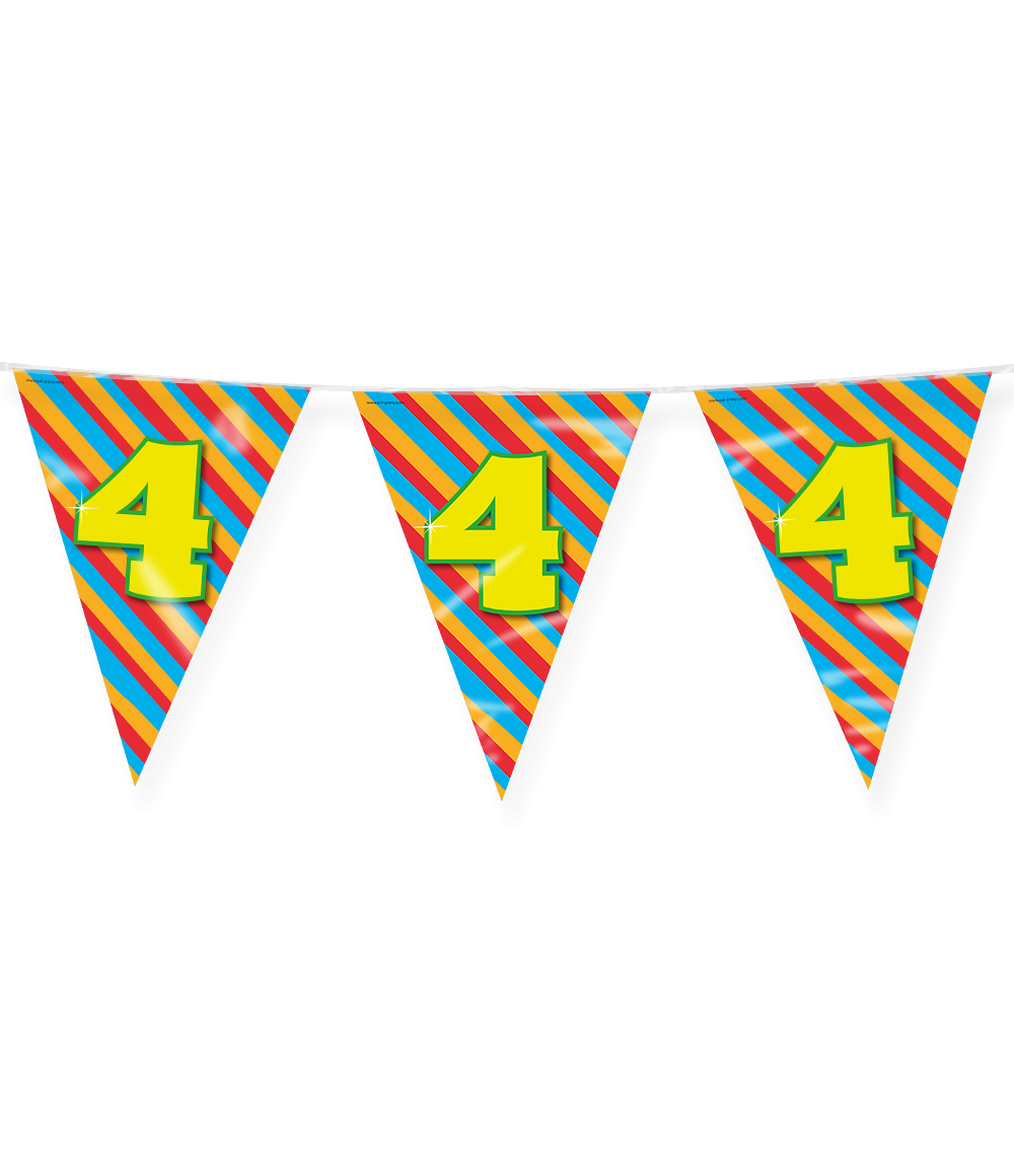 Vlaggenlijn 4 Jaar Gekleurd 10m
