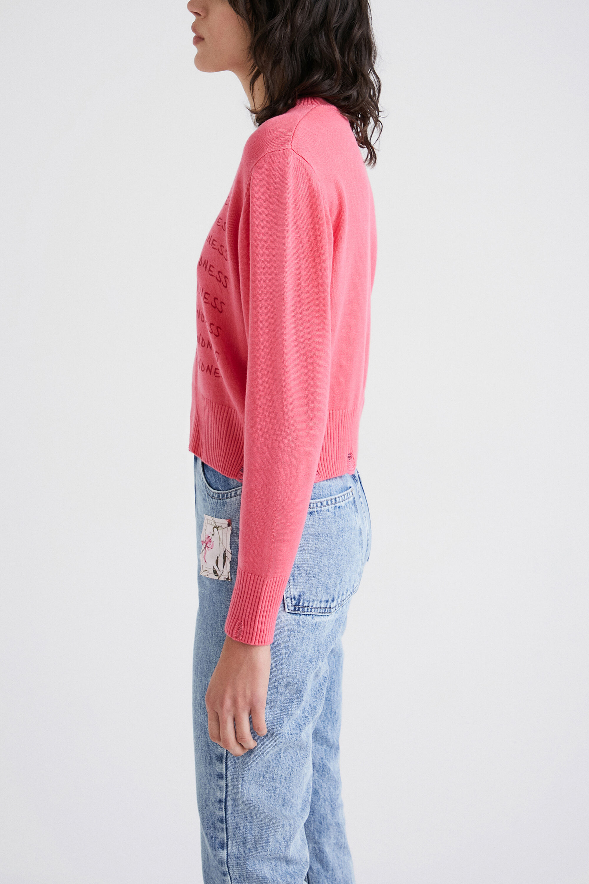 Pull Vierge