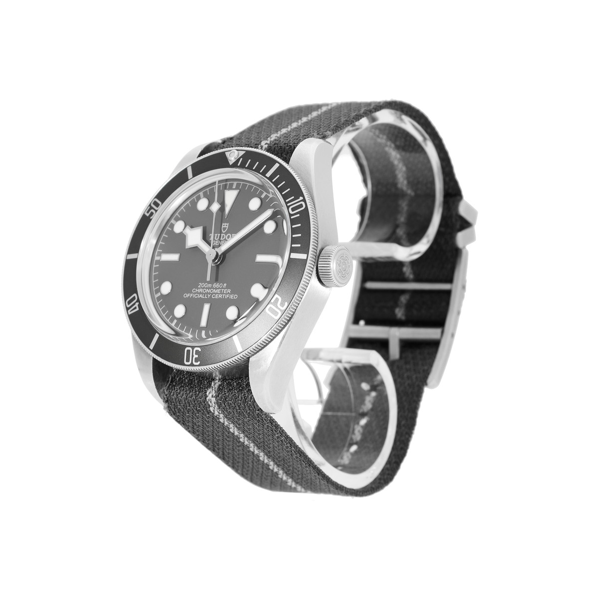 Montre d'occasion TUDOR Black Bay homme automatique