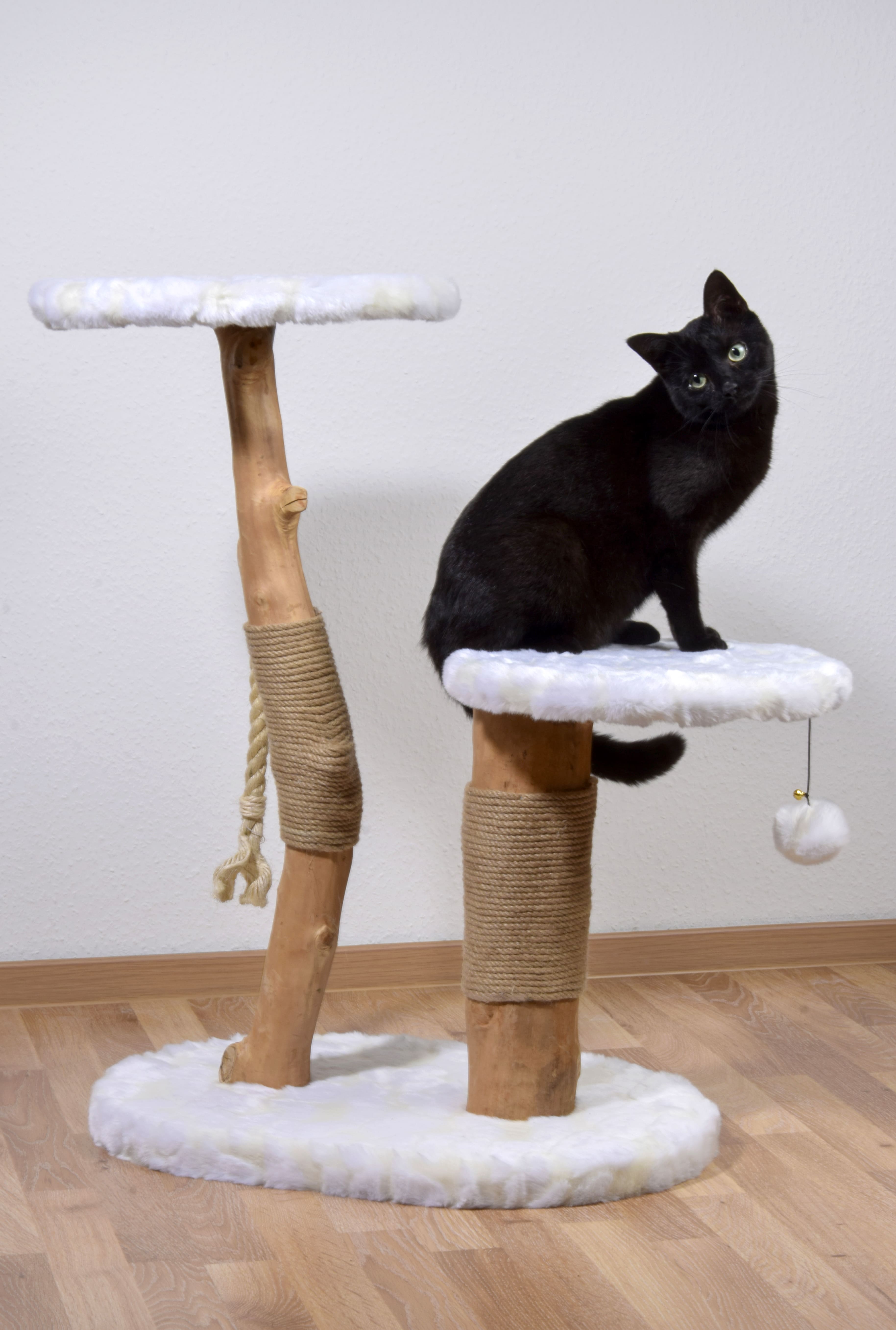 Design-Katzenmöbel 