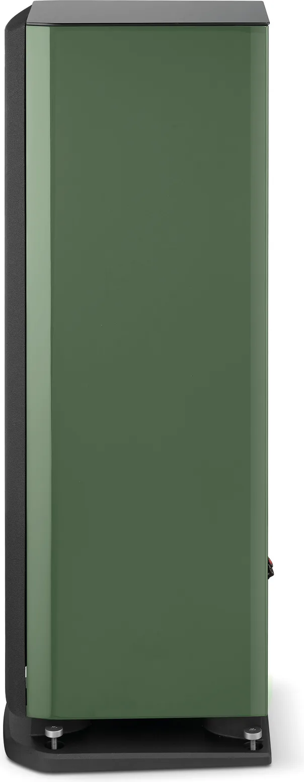 Focal Aria Evo X N°2 Vert (la paire) Enceintes colonne