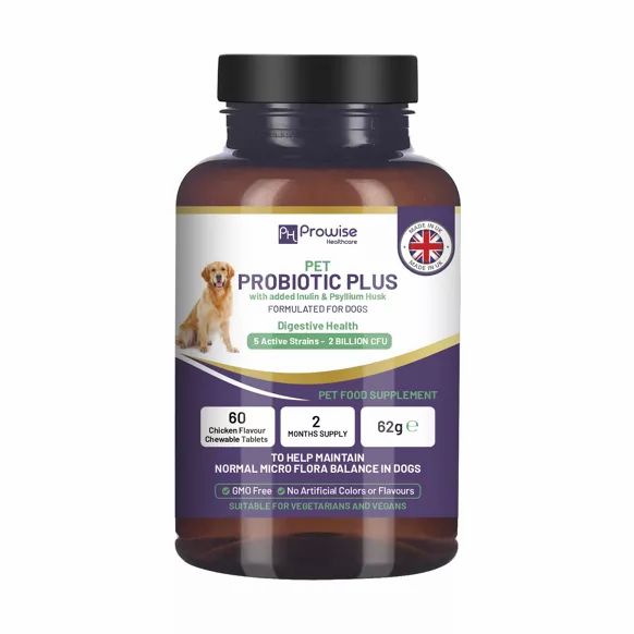 Prowise Healthcare - Pet Probiotic Plus
