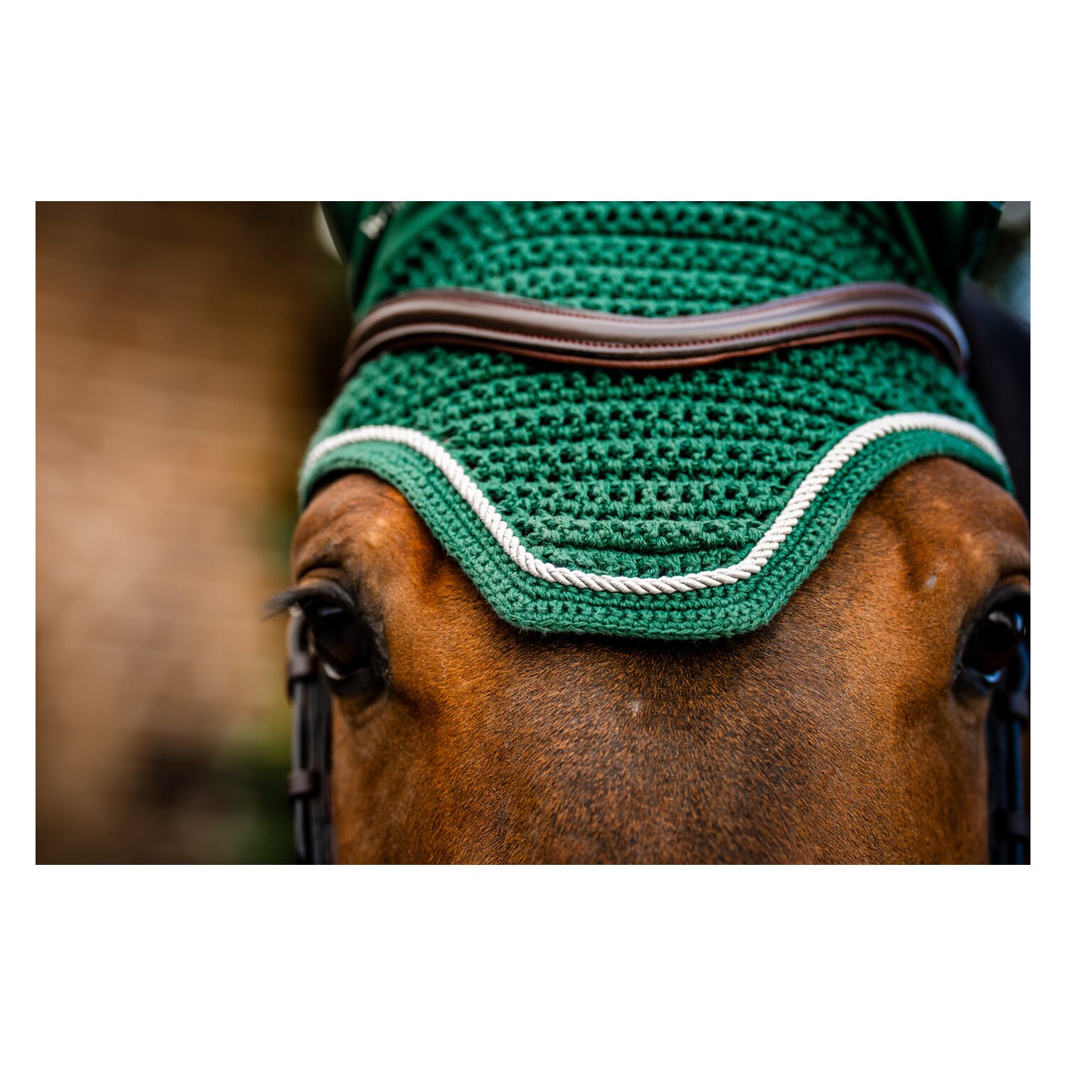 HORSEWARE Signature Fliegenohren  - green - VB/WB