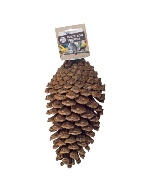 Back Zoo Nature Foraging Pine Cone - Vogelspeelgoed - per stuk