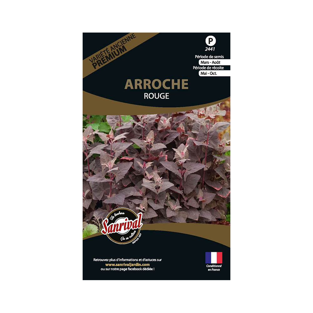 Graines potagères premium arroche
