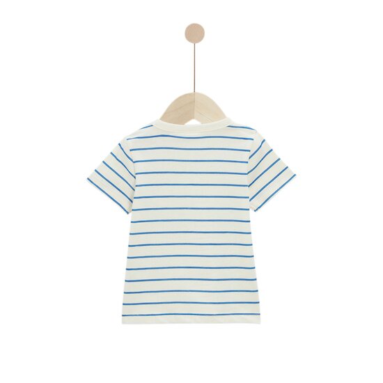 Tee-shirt Liberty and Sea Life   Rayures        de               P'tit Bisou Petit Prix