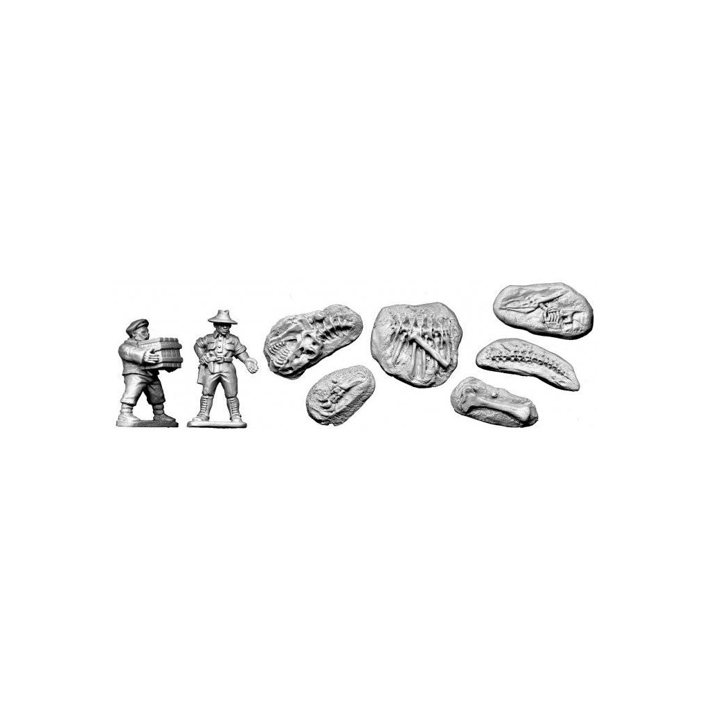 Palaeontologist and Fossils
