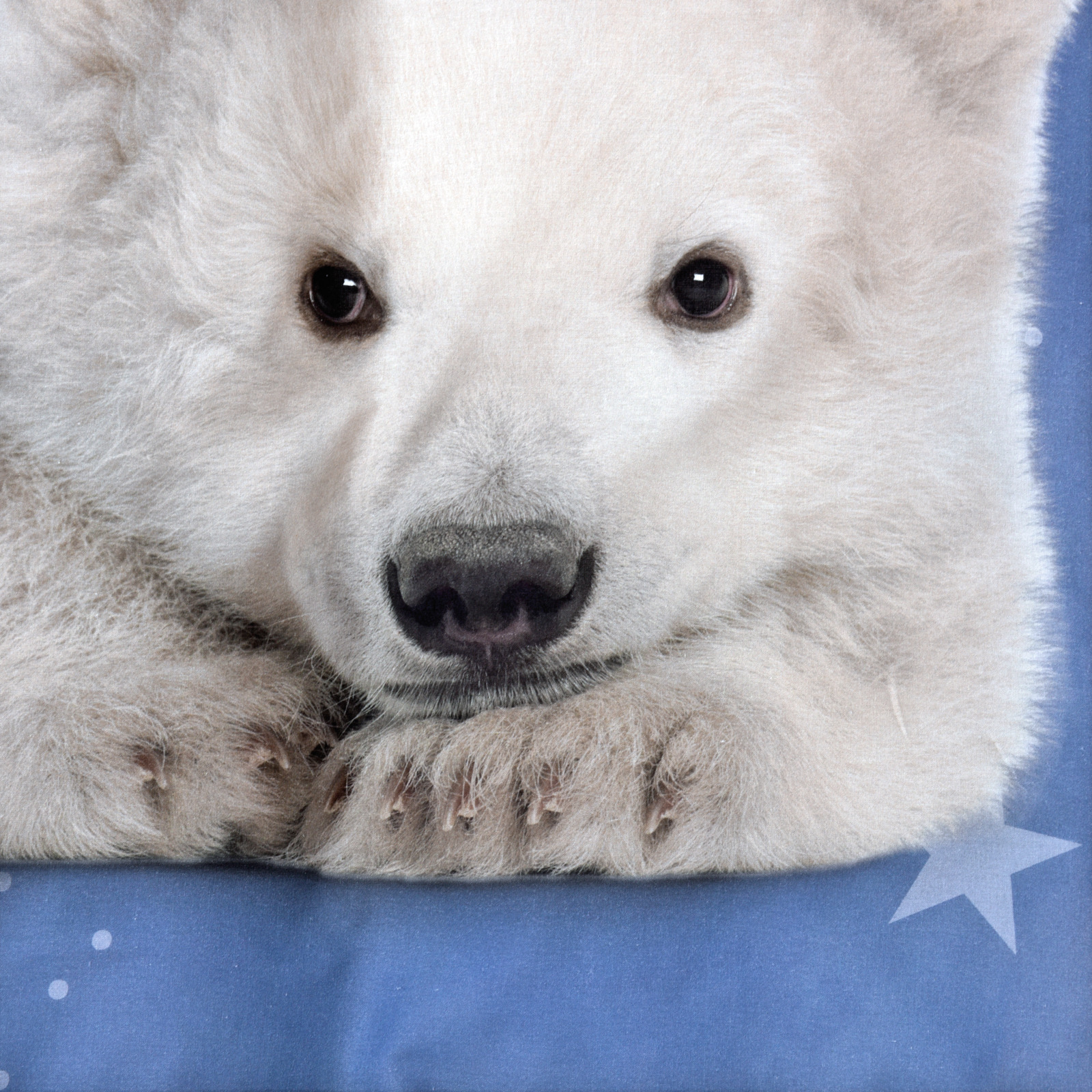 Bettwäsche mit Eisbär
