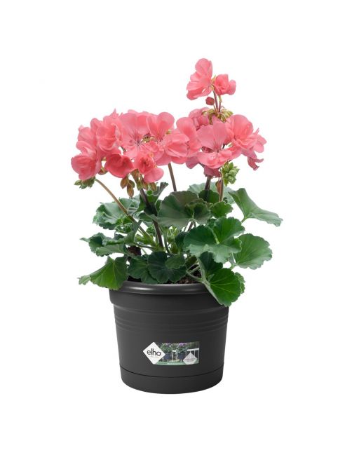 Elho Balkonbakset Green Basic All-In-1 Rond - Plantenbak - 20x26x19 cm Zwart