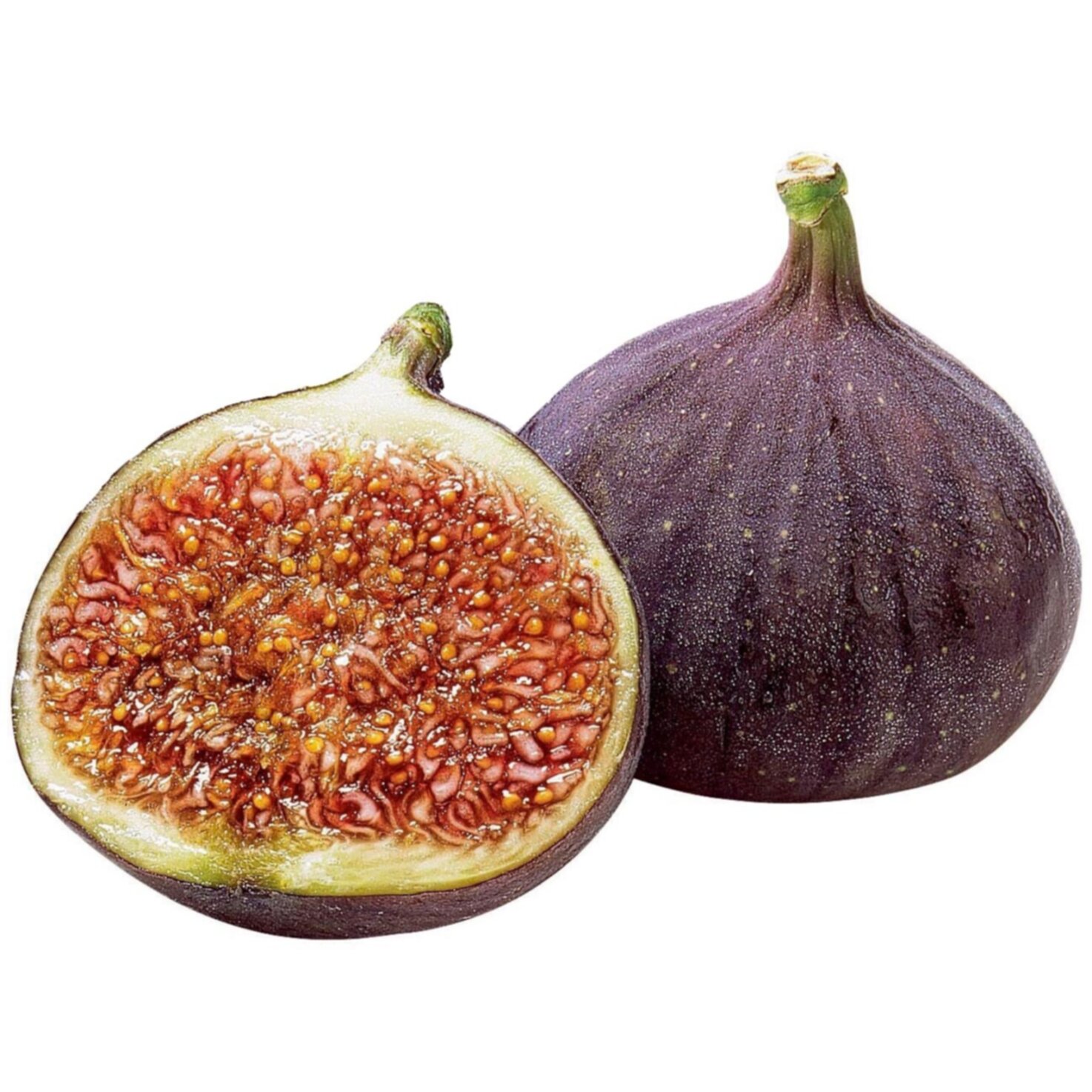 Feigen frisch -