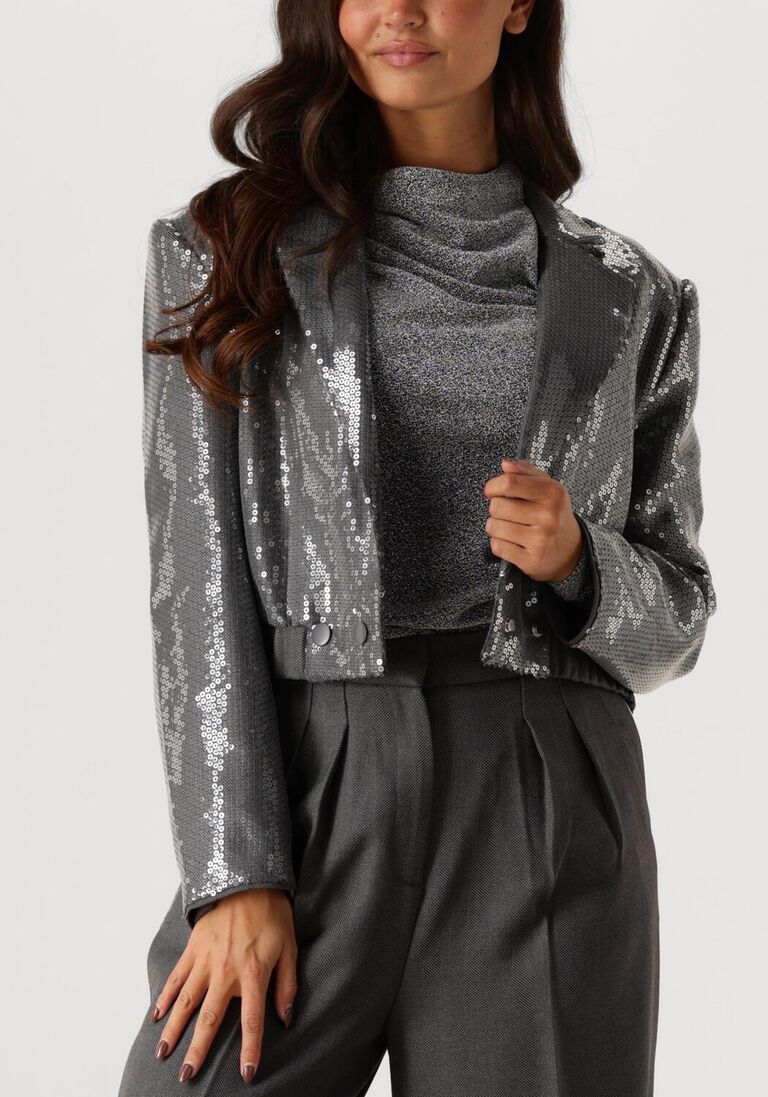 grijze aaiko blazer mille sequins pes 356