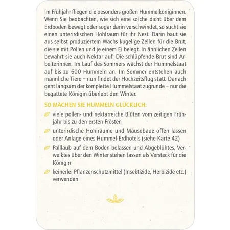 moses. Blatt & Blüte Insektenglück