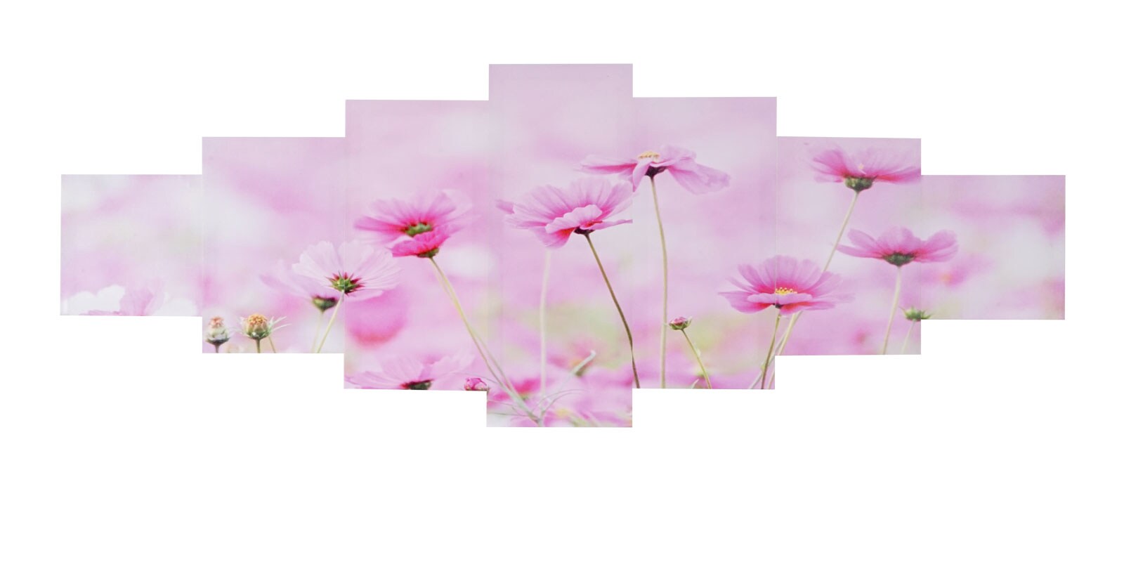 Leinwandbild H375 XL, Wandbild Keilrahmenbild Kunstdruck, 7-teilig 245x87cm ~ Blumen
