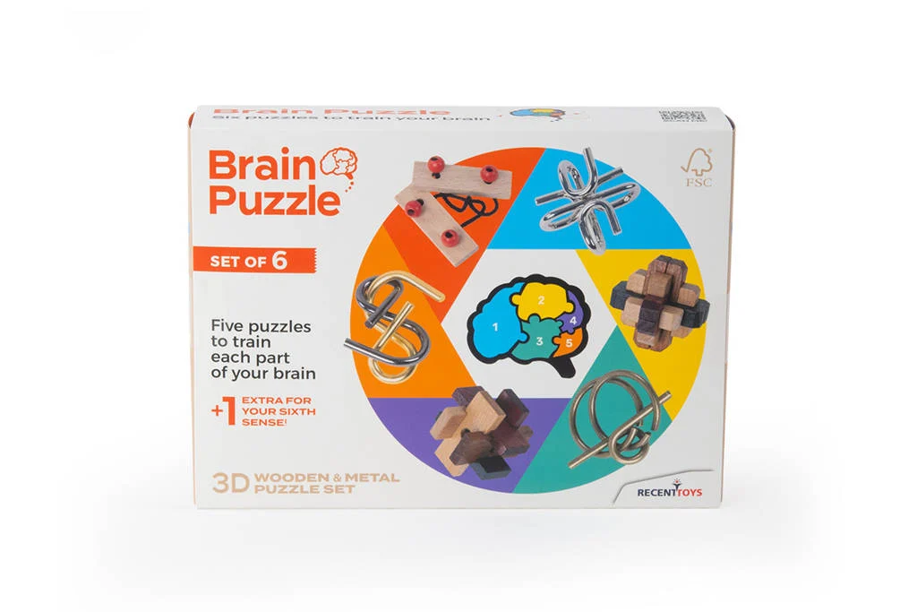 Brain Puzzle set of 6