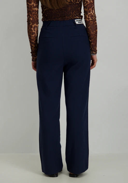 Colourful Rebel Broek Rus WP116407
