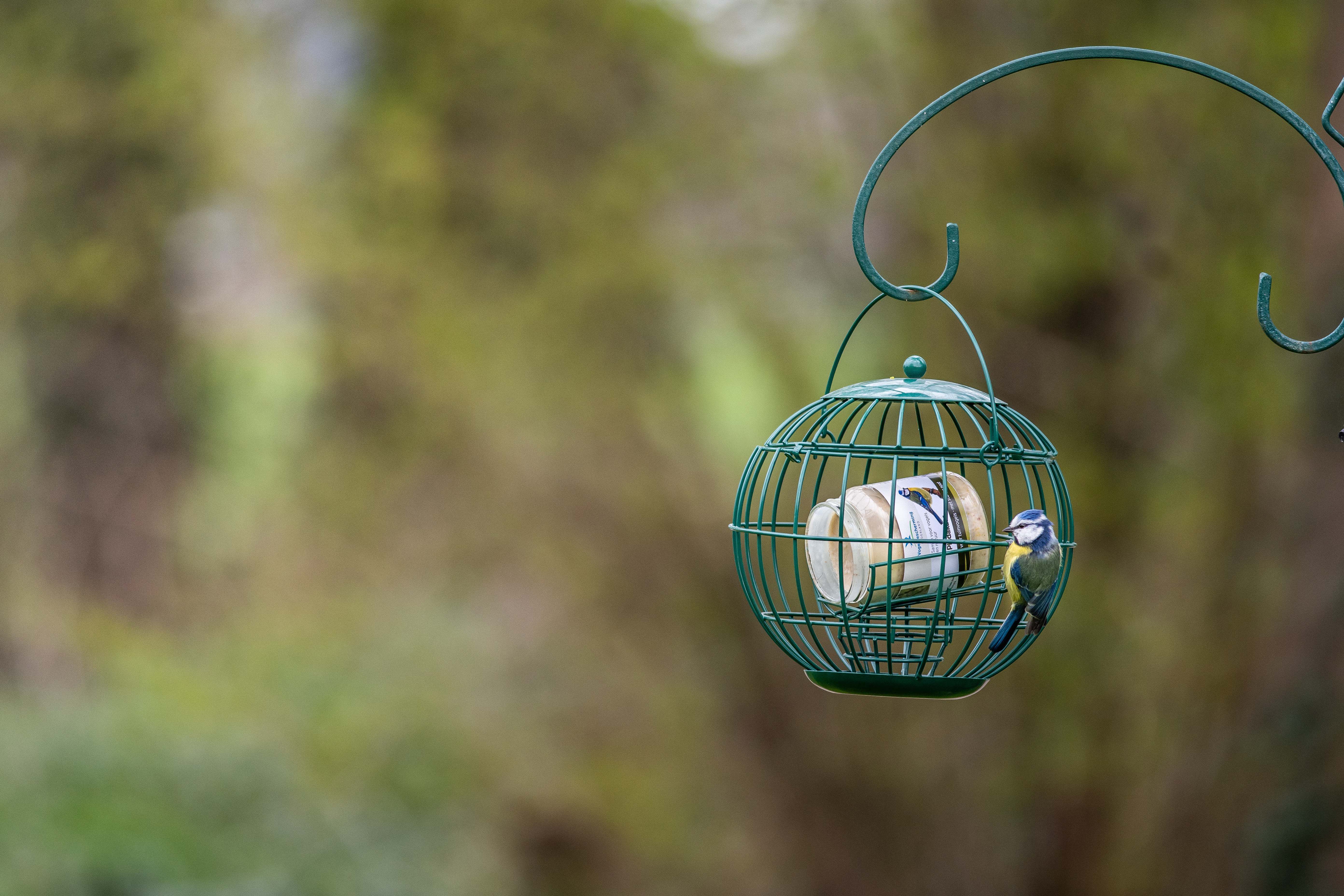 Vogelbescherming - Vogelpindakaas - Bosvruchten - Tuinvogelvoer - 300 Milliliter - Bosvruchten