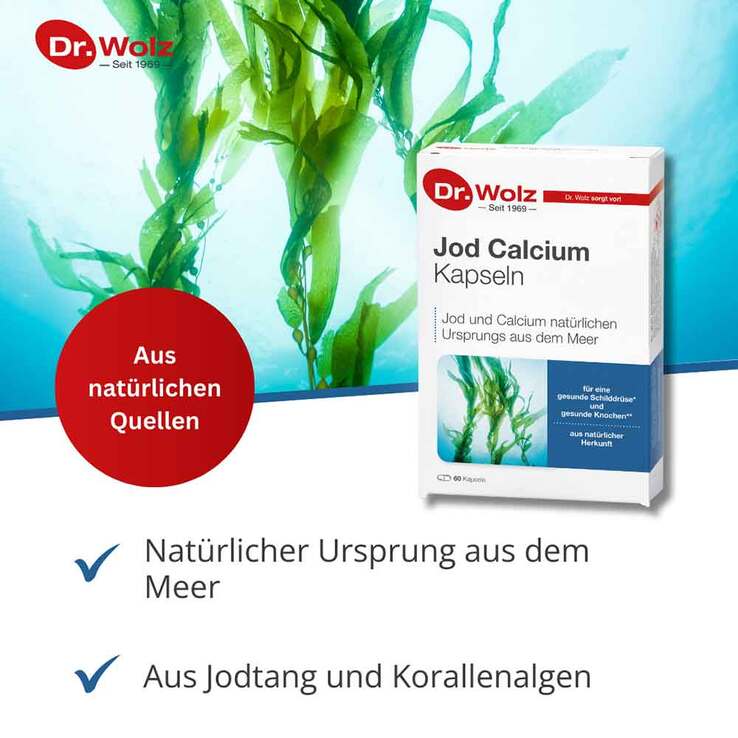 Jod Calcium Kapseln Dr. Wolz, 60 St