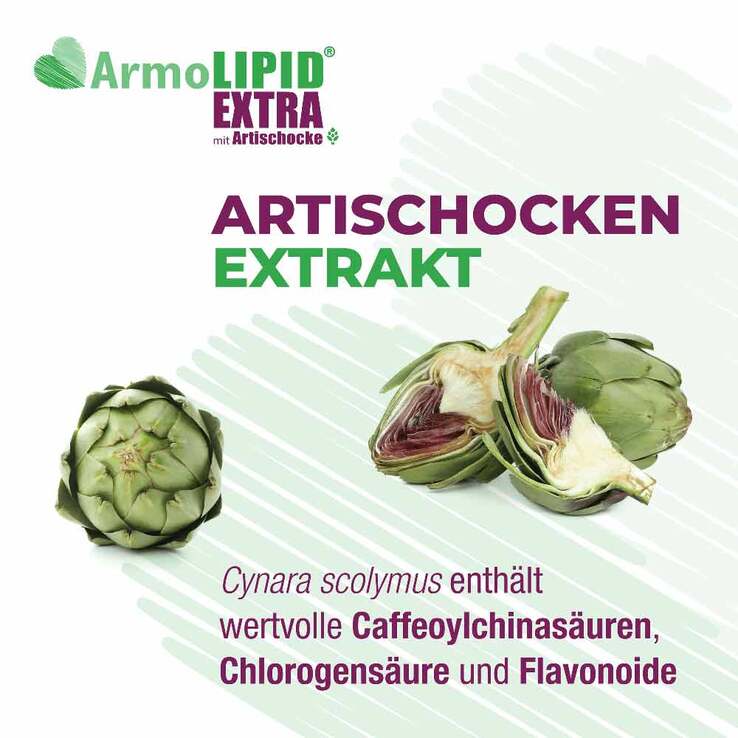 Armolipid Extra Tabletten mit Artischocke, 30 St