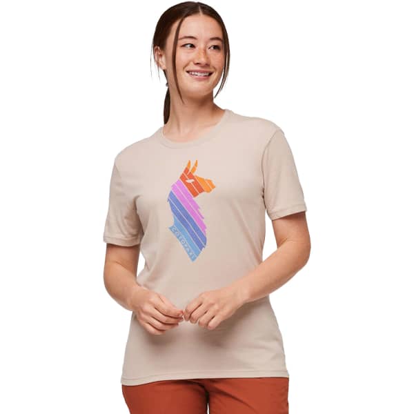 T-shirt COTOPAXI LLAMA STRIPES ORGANIC T-SHIRT W OATMEAL