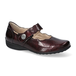 flora  MISS 35874  CHIANTI