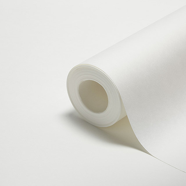 Papier peint de rénovation sur intissé Diall blanc 15m