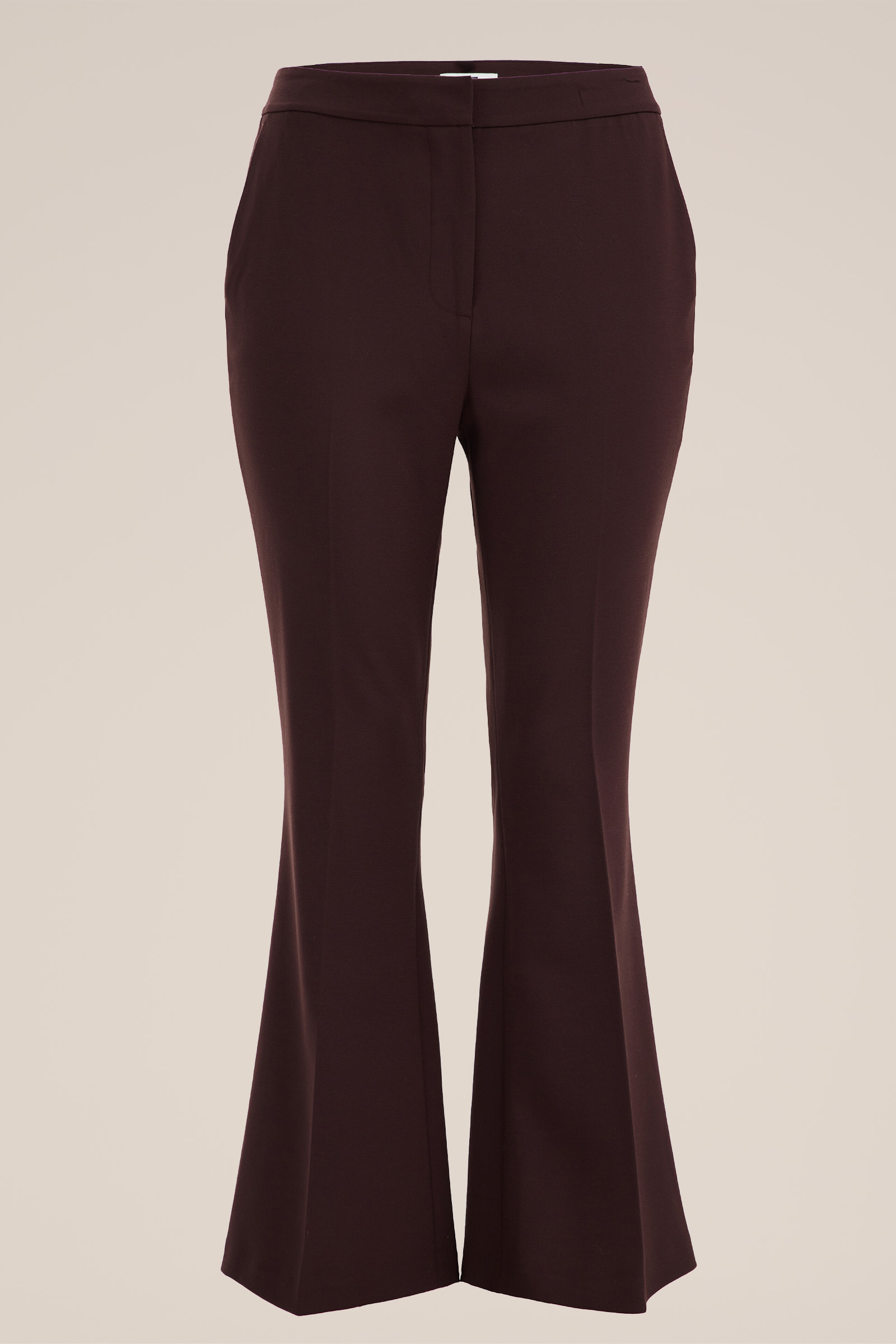 flared pantalon - Curve WE Fashion Donkerbruin